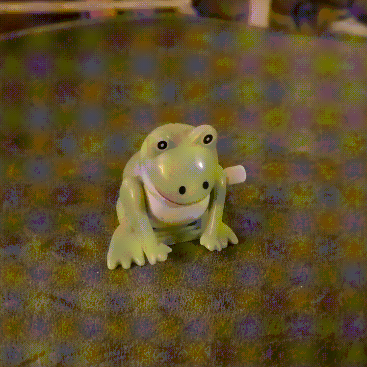 Animated frog